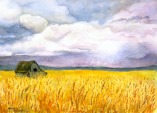 In Washington every farmer watches the summer sky at harvest time.  This old barn is a reminder of the timelessness of farming.