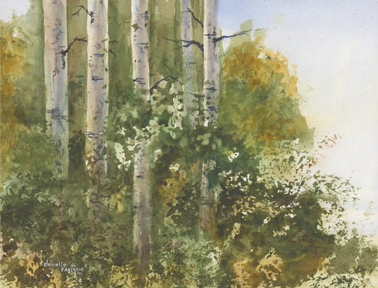 Birch Forest [Prints]