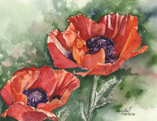 Poppies